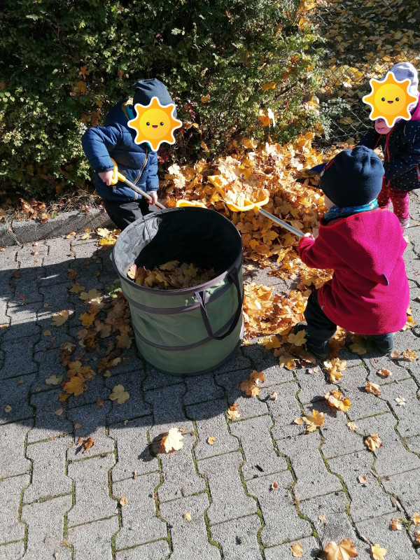 Blätter im Herbst Blätter im Herbst